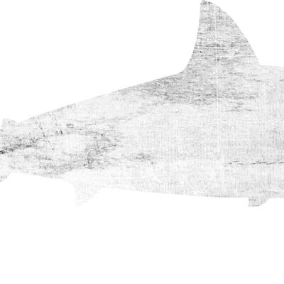 'Shark'' Wandobjekt - Ø 19 cm