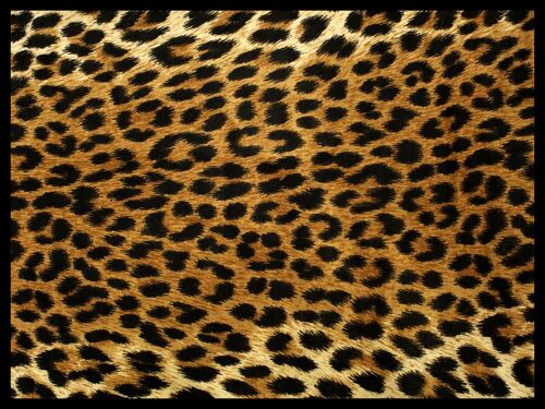 "Tiger Stains" Fußmatte - 80x60 cm