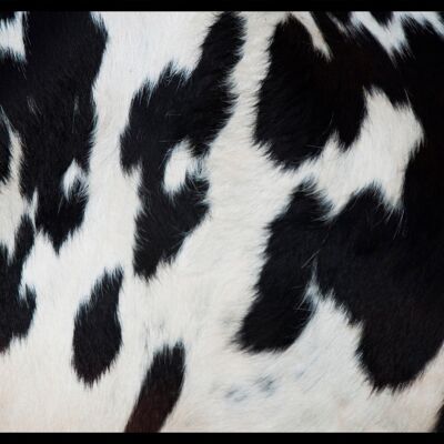 "Cow Fur" Napfunterlage - 60x45