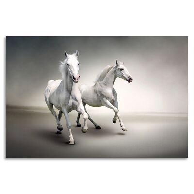 "White Mares" Acrylglasbild - 90x60cm