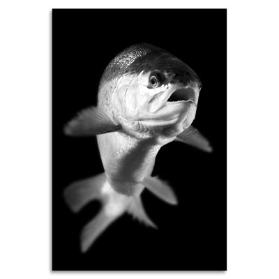 "Fishy III" Acrylglasbild - 60x90cm