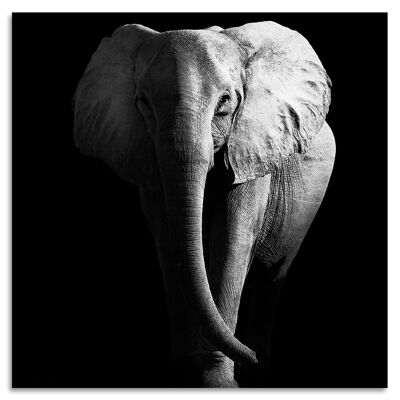 "Swinging Elephant" Acrylglasbild - 50x50cm