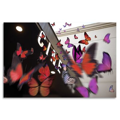 "Butterflies Deluxe" Acrylglasbild - 90x60cm