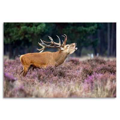 "Autumn Deer" Acrylglasbild - 120x80cm