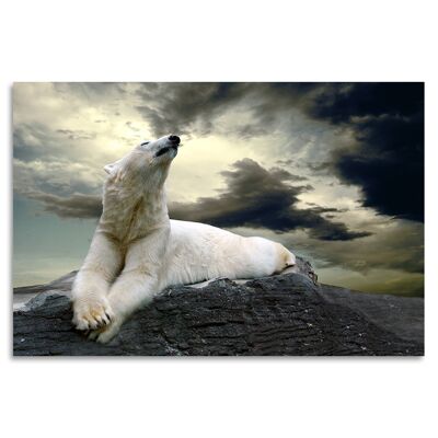 "Polarbear" Acrylglasbild - 120x80cm