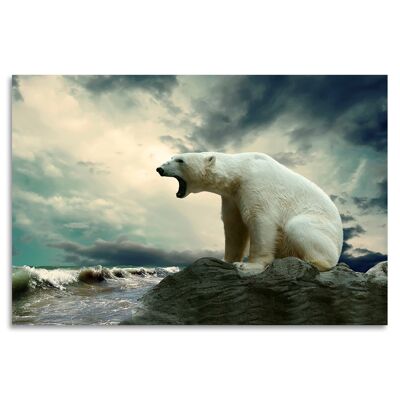 "Last Icebear" Acrylglasbild - 180x120cm