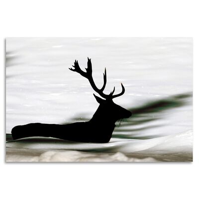 "Swimming Deer" Acrylglasbild - 90x60cm