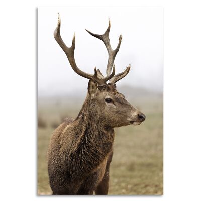 "Deer" Acrylglasbild - 80x120cm