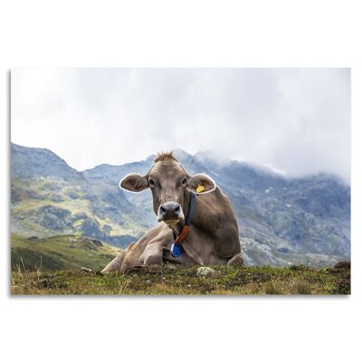 "Alpenwelt Kuh" Acrylglasbild - 120x80cm