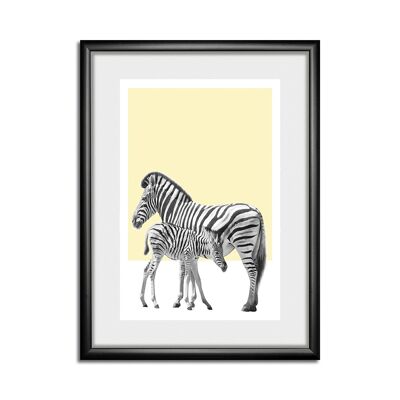 Zebras Rahmenbild - 50x60cm