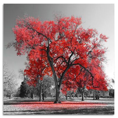 "Autumn Red" Acrylglasbild - 100x100cm