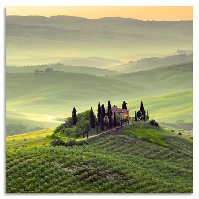 "Wine Landscape" Acrylglasbild - 50x50cm