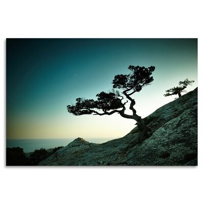 "Enchanted Tree" Acrylglasbild - 90x60cm