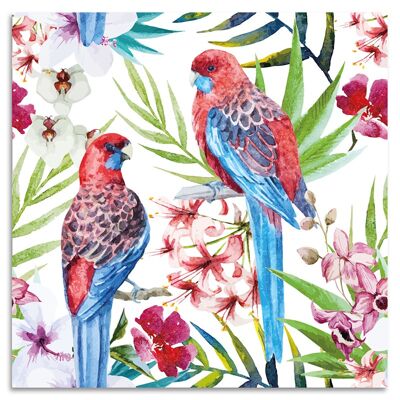 "Parrot Love" Acrylglasbild - 100x100cm