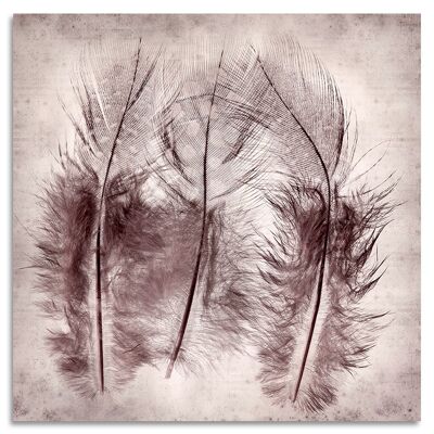 "Feather Fever" Acrylglasbild - 50x50cm
