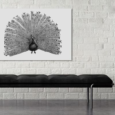 "Peacock" Leinwandbild - 120x80 cm