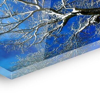 "Stine" Acrylglasbild - 180x120cm