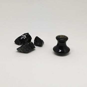 Champignon d'obsidienne noire | Restaurateur oculaire et dépoussiérant 1