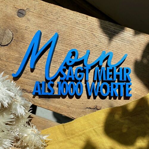 Moin sagt mehr als 1000 Worte - Gr. M