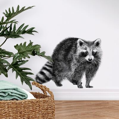 Raccoon wall sticker - hand-drawn illustration - wall art