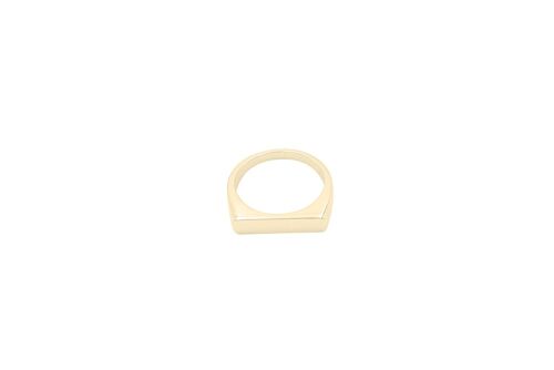 Bossline Ring Gold - Gold, M / 14