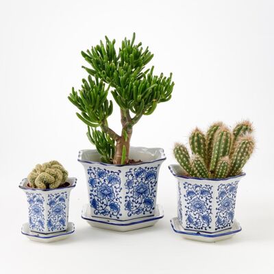 Blue and White Plant Pots with Saucers - set of three