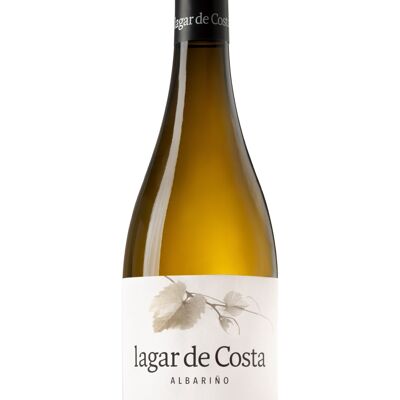 vino albariño. Lagar de Costa