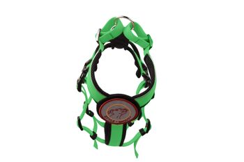 Harnais de Sécurité - Patch&Safe - Grenouille Vert-Noir - M - Chiens de plus de 18kg/50cm 1