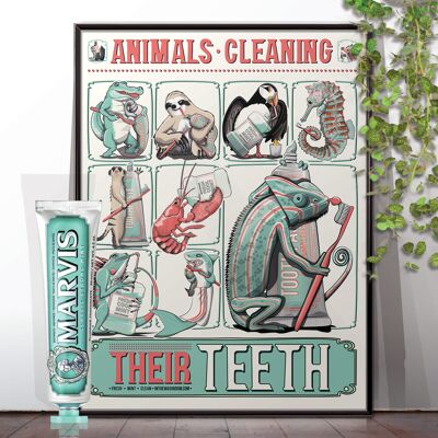 Animals Cleaning their Teeth, Bathroom Poster