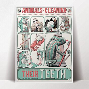 Animaux se nettoyant les dents, salle de bain Poster 4