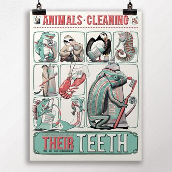 Animaux se nettoyant les dents, salle de bain Poster 5