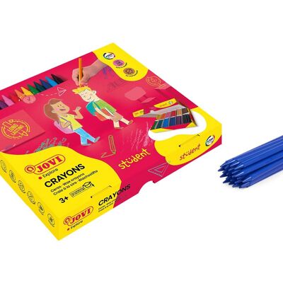 Student Jovi Pencils, Caja de 300 Lápices de Plastico, Colores Surtidos, Ideal para Niños