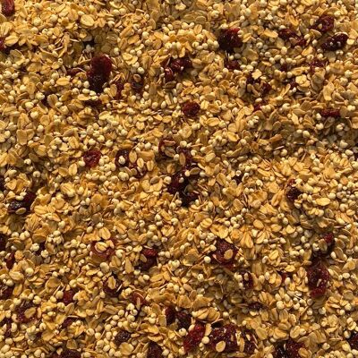 Granola de Limón y Arándanos 1kg de muesli crujiente