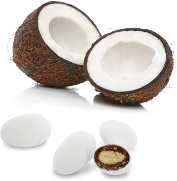 LES GOURMANDES : Amande torréfiée enrobée de chocolat au lait et rapé de COCO coffret 500g 2