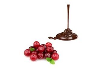 CANNEBERGE au chocolat blanc et noir sachet 155g 3