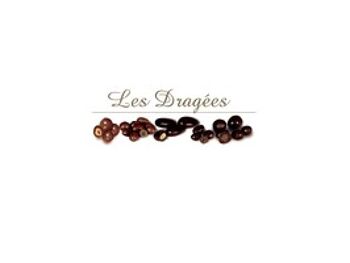 Mélange Les Dragées : amandes, noisettes, fruits confits, raisins secs COFFRET CADEAU 290g 3