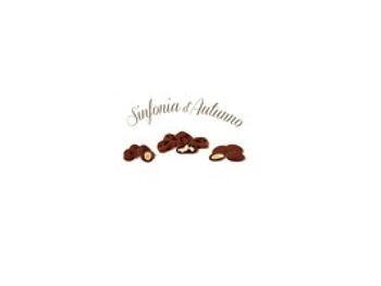 Symphonie d'automne : noix du Chili, amandes et noisettes au chocolat noir et poudre de cacao 580g COFFRET CADEAU 3