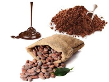 Fève de CACAO torréfiée, chocolat au lait + cacao en poudre sachet 155g 3