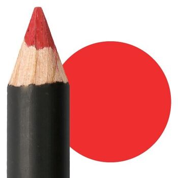 Professional Lip Pencil - Crayon contour des lèvres 15