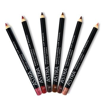 Professional Lip Pencil - Crayon contour des lèvres 1