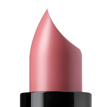 My Lipstick - Rouge à lèvres crémeux 4