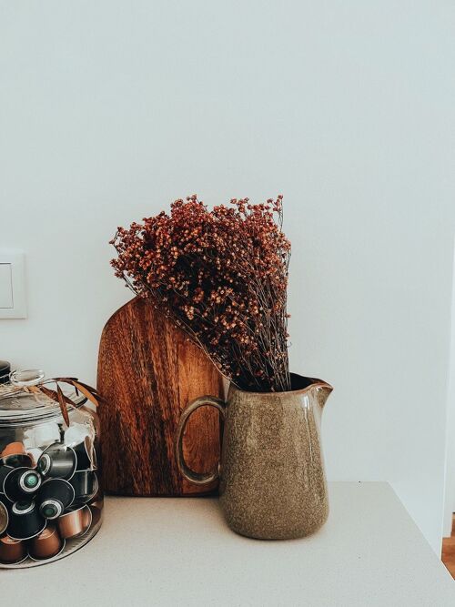 Broom Bloom Orange Dried Flower