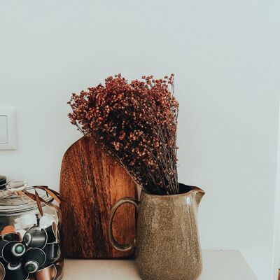 Broom Bloom Orange Dried Flower