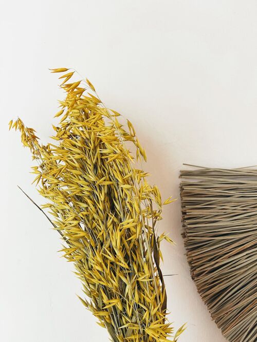 Avena Yellow Dried Flowers