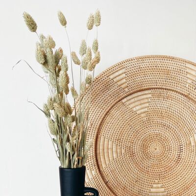 Phalaris Dried Flowers