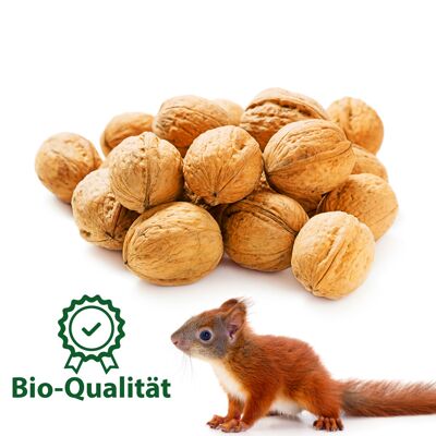 ERDENFREUND® Squirrel Garden Walnuts 1 kg