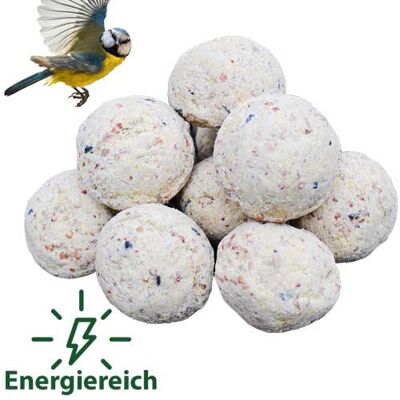 ERDENFREUND® Futterknödel Vögel ganzjährig 10 Stk.