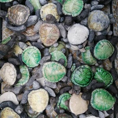 Meeresschildkröten in Raku