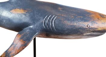 Statuette requin XXL 59x24x38,5 cm 4