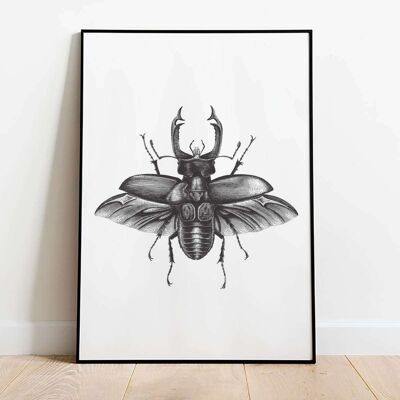 Beetle Insect Animal Nature Art Poster (42 x 59.4cm)